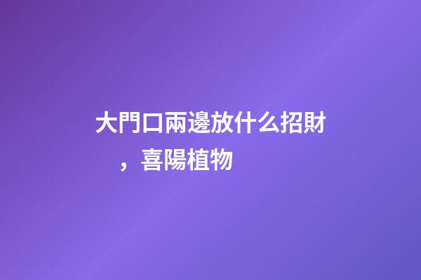 大門口兩邊放什么招財，喜陽植物